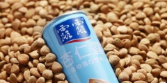 汕頭法院判了！承德露露不服！一個(gè)商標(biāo)使用權(quán)引發(fā)的官司