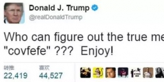 特朗普臆造詞“COVFEFE”商標被無效，商評委：不良影響！