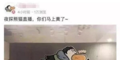 “王思聰”商標(biāo)被公然叫賣(mài)80萬(wàn)！