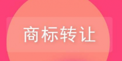 商標(biāo)轉(zhuǎn)讓前不知道這些小心吃大虧！