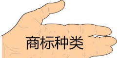 玻璃杯子屬于第幾類商標(biāo)？