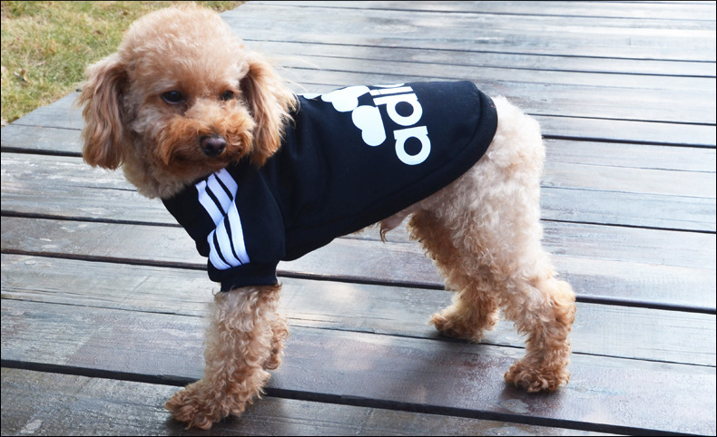 Adidas還有寵物服裝支線Adidog？ 其實是商標侵權