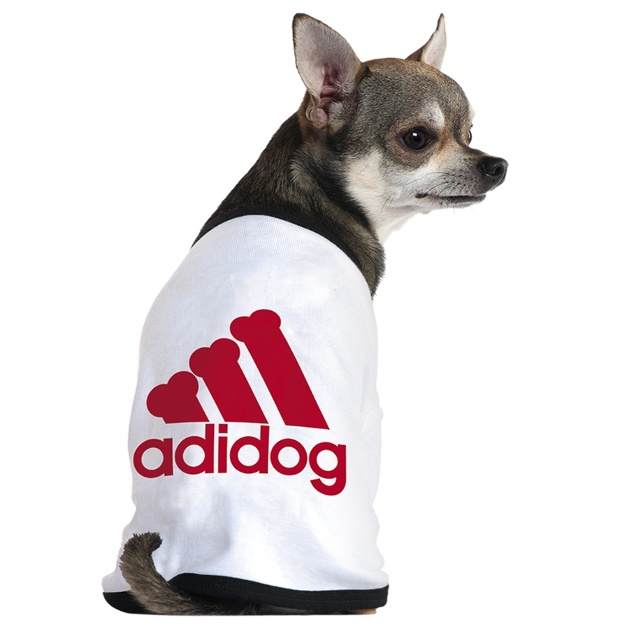 Adidas還有寵物服裝支線Adidog？ 其實是商標侵權