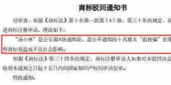 這種商標(biāo)被駁回的情況，一定要多審視幾遍才好