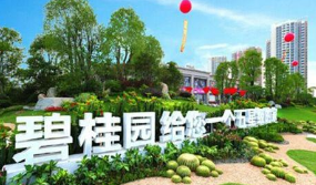 五星級(jí)的家”字樣，被認(rèn)定屬于不得作為商標(biāo)使用的標(biāo)志