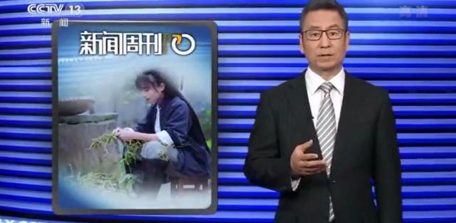 月收入千萬，背后公司早已為網(wǎng)紅李子柒注冊(cè)百余件商標(biāo)