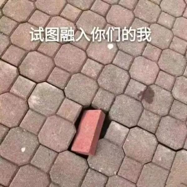 “nss、xswl、pyq、cx、zqsg、走花路……”細數(shù)那些被注冊商標的00后黑話