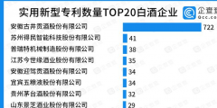 實(shí)用新型專利TOP20：古井貢酒一騎絕塵，有效實(shí)用新型專利722件