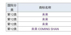 蔚來”為什么不用“未來”，商標(biāo)是否被他人注冊