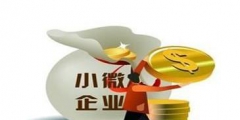 小微企業(yè)標準稅收優(yōu)惠(企業(yè)所得稅優(yōu)惠)