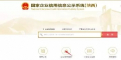 企業(yè)年報(bào)納稅總額怎么填寫(企業(yè)工商年報(bào)完整流程)