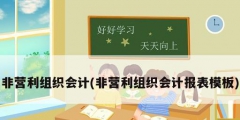 非營(yíng)利組織會(huì)計(jì)(非營(yíng)利組織會(huì)計(jì)報(bào)表模板)